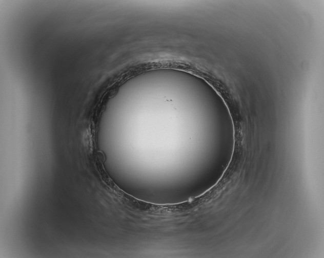 X0000115531493200911131455