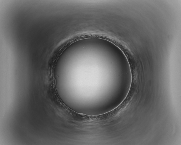 X0000115531494200911131455