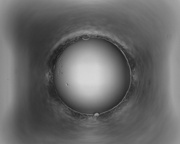 X0000115531495200911131455