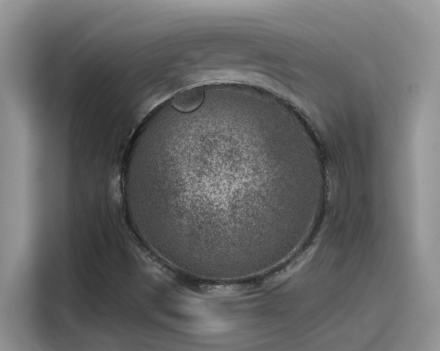 X0000115531497200911131455