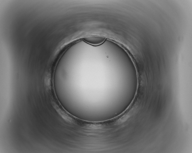 X0000115531499200911131455