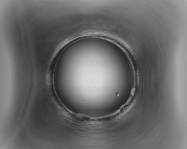 X0000115531501200911131455