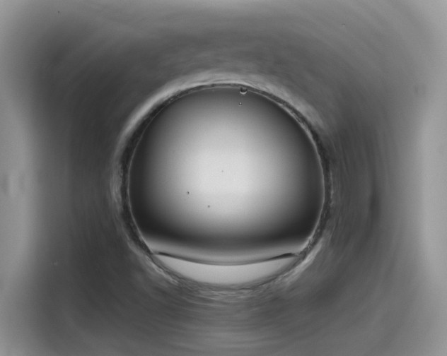 X0000115531502200911131455