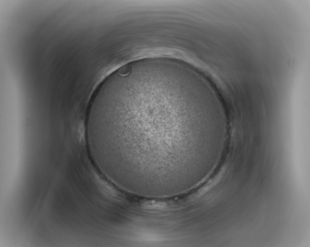 X0000115531505200911131455