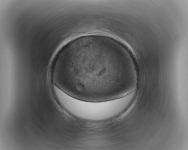 X0000115531506200911131455