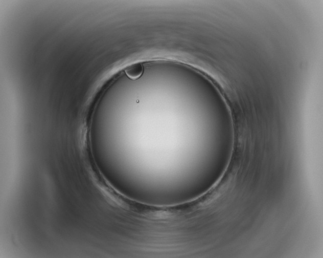 X0000115531507200911131455