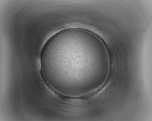 X0000115531509200911131455