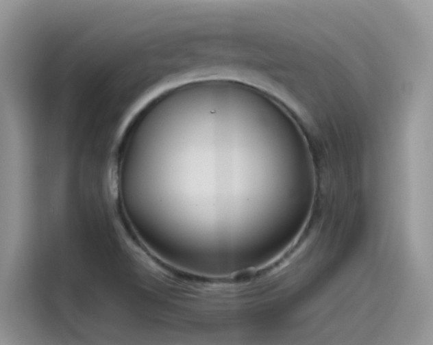 X0000115531510200911131455