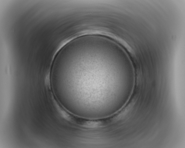 X0000115531513200911131455