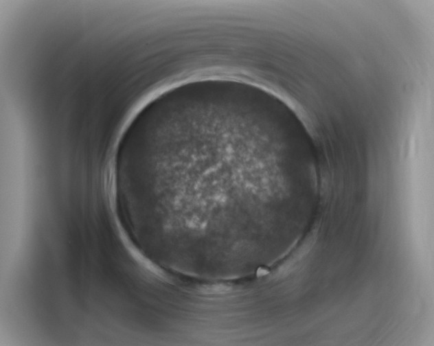 X0000115531515200911131455