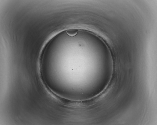 X0000115531517200911131455