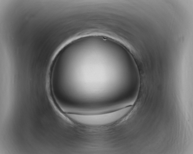 X0000115531518200911131455