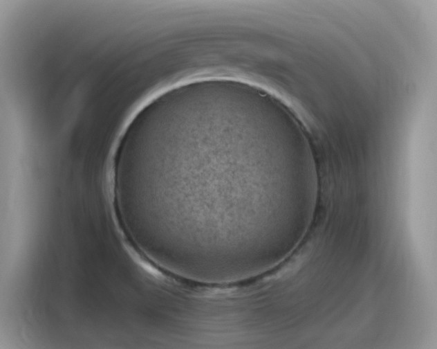 X0000115531519200911131455