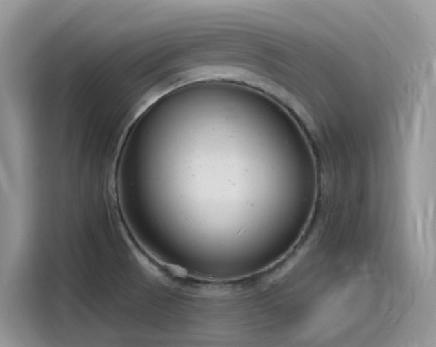 X0000115531521200911131455