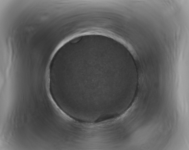 X0000115531522200911131455