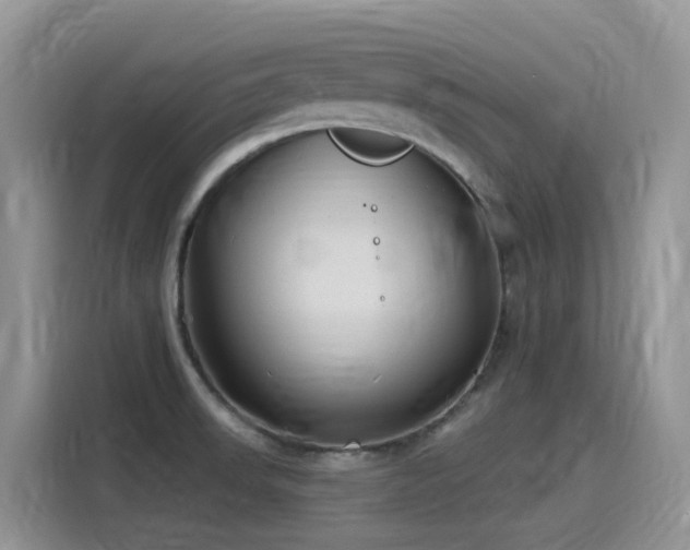 X0000115531523200911131455