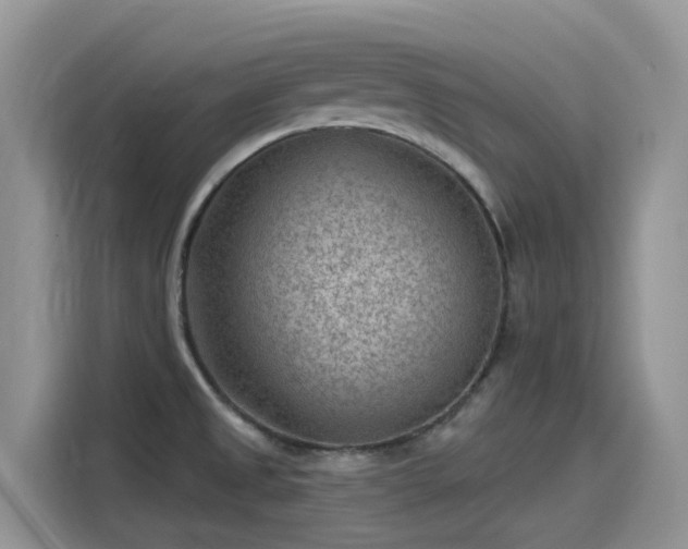 X0000115531525200911131455