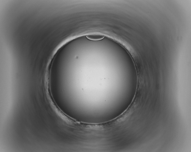 X0000115531526200911131455