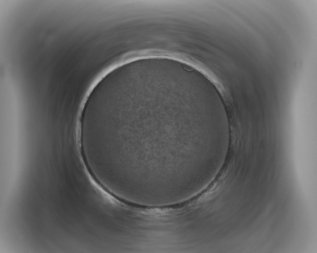 X0000115531527200911131455