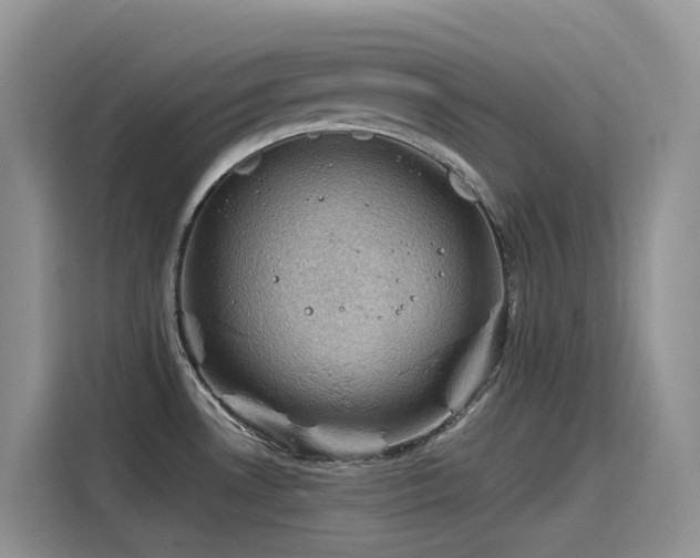 X0000115531530200911131455