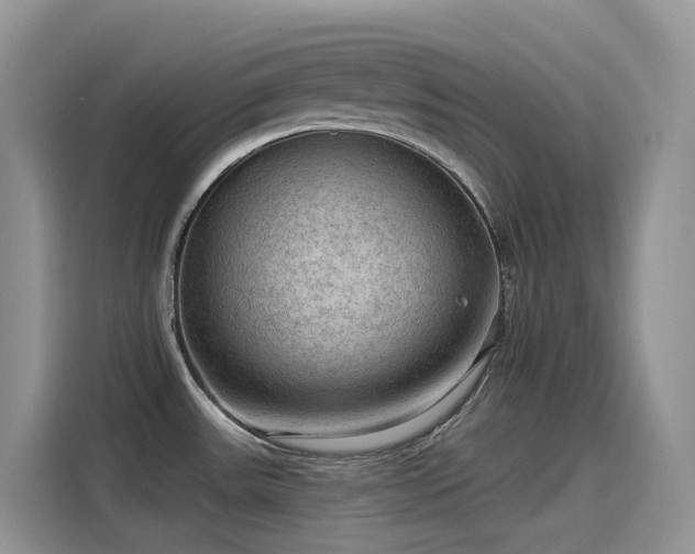 X0000115531531200911131455