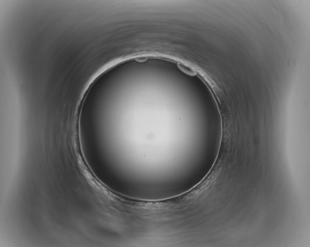 X0000115531534200911131455