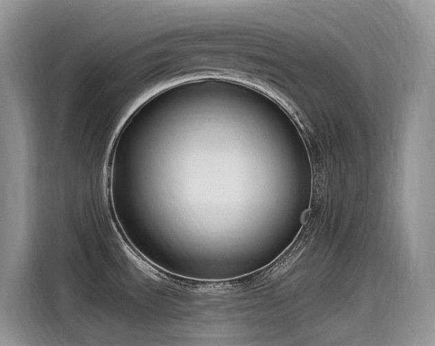 X0000115531535200911131455