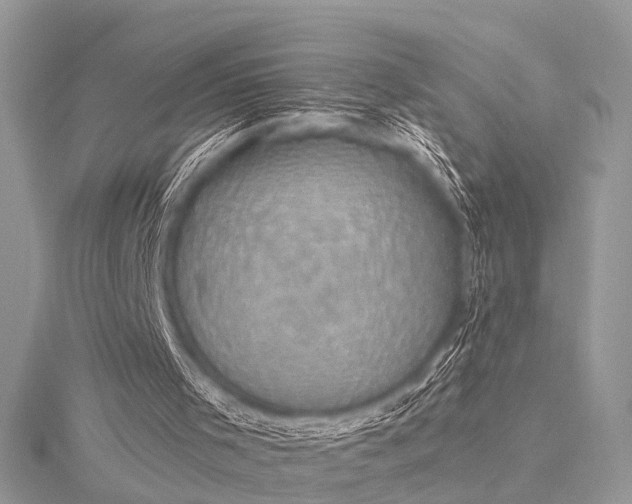 X0000115530001200911201729