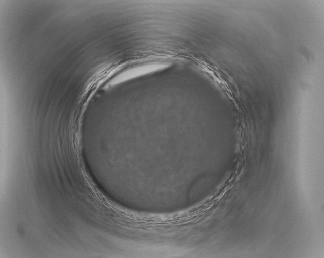 X0000115530002200911201729