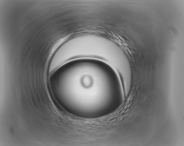 X0000115530003200911201729