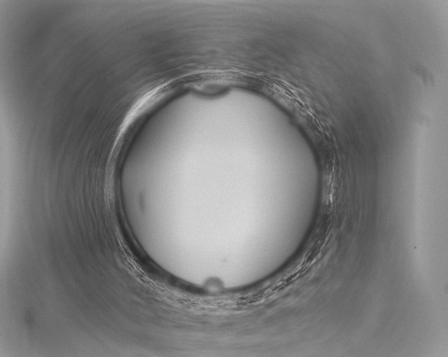 X0000115530004200911201729