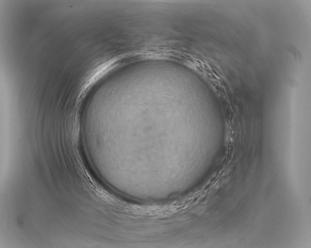 X0000115530005200911201729