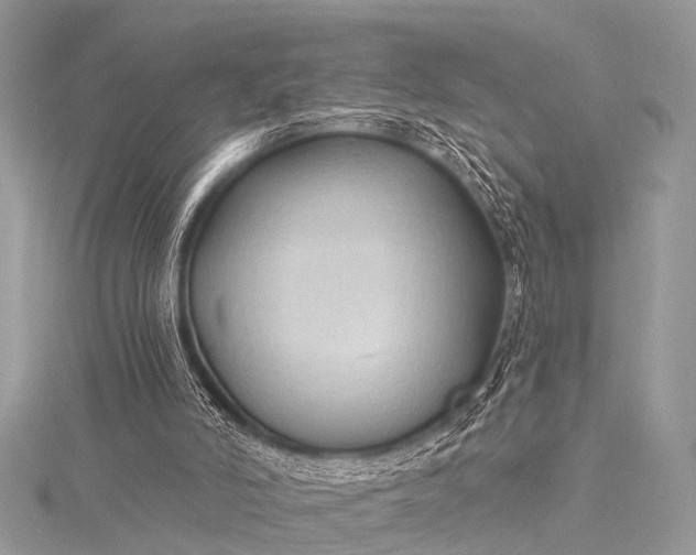 X0000115530006200911201729