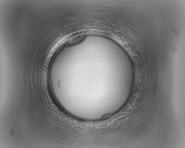 X0000115530007200911201729