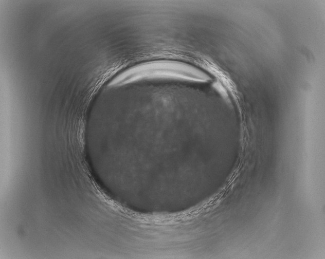 X0000115530009200911201729