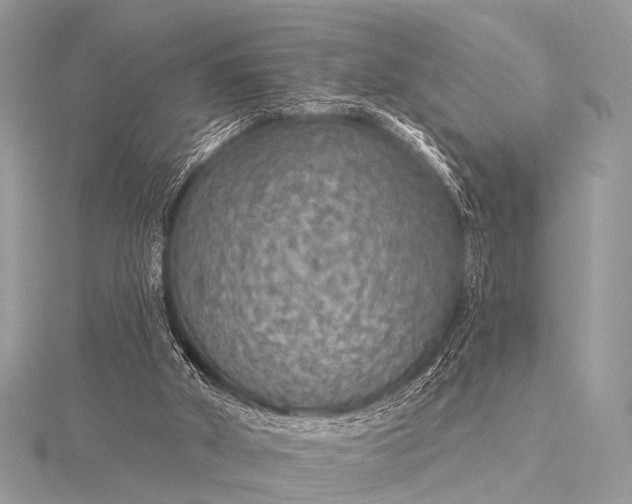 X0000115530010200911201729