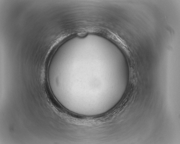 X0000115530012200911201729