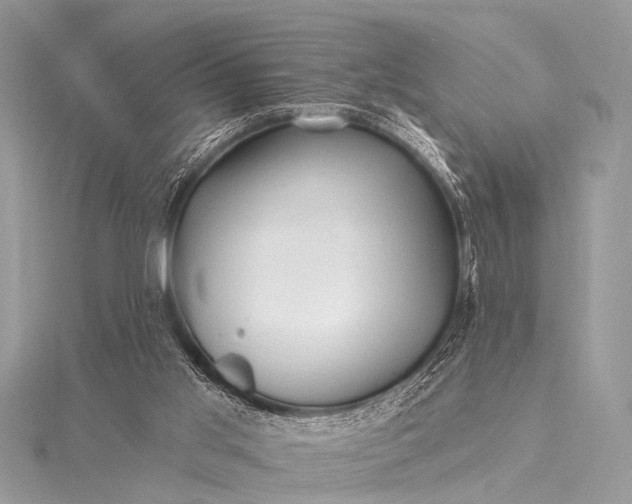 X0000115530013200911201729