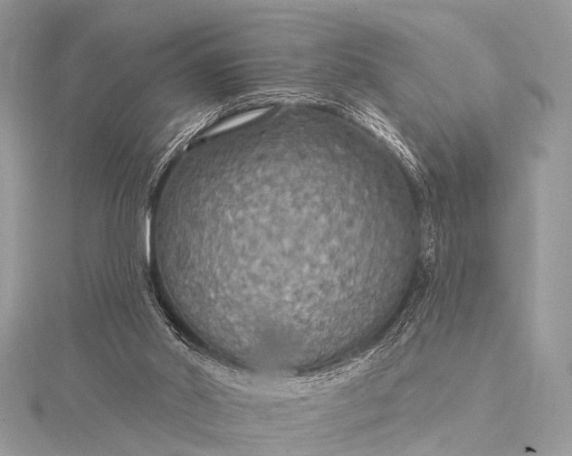 X0000115530014200911201729