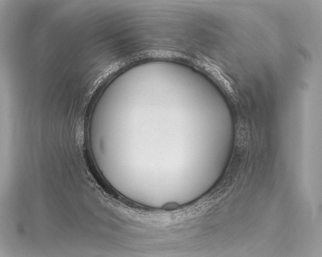 X0000115530015200911201729