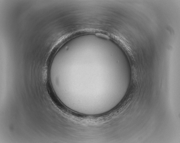 X0000115530016200911201729