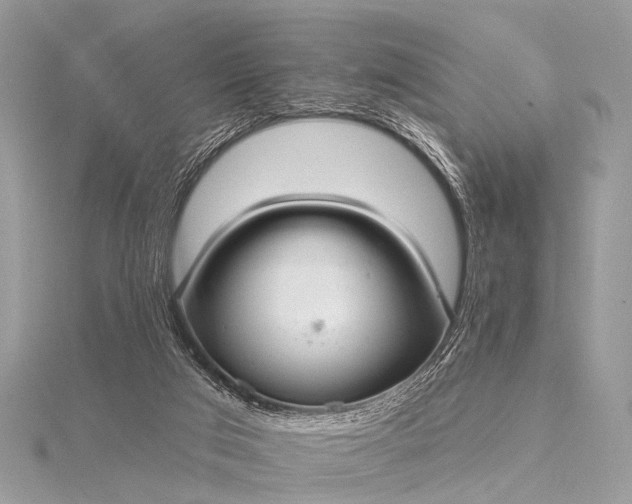 X0000115530017200911201728