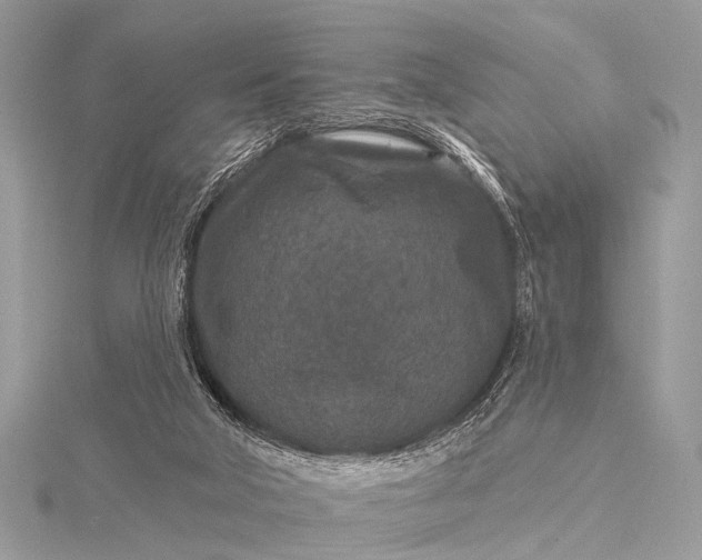 X0000115530018200911201728