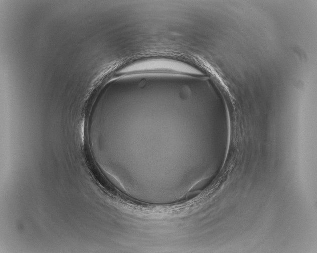 X0000115530019200911201728