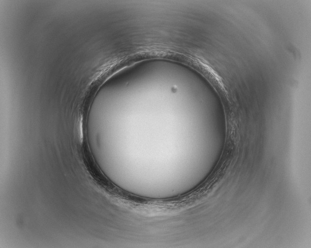 X0000115530020200911201728