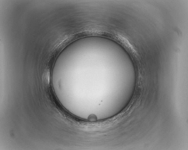 X0000115530021200911201728