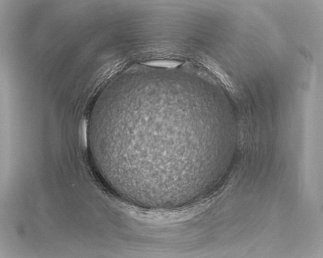 X0000115530022200911201728