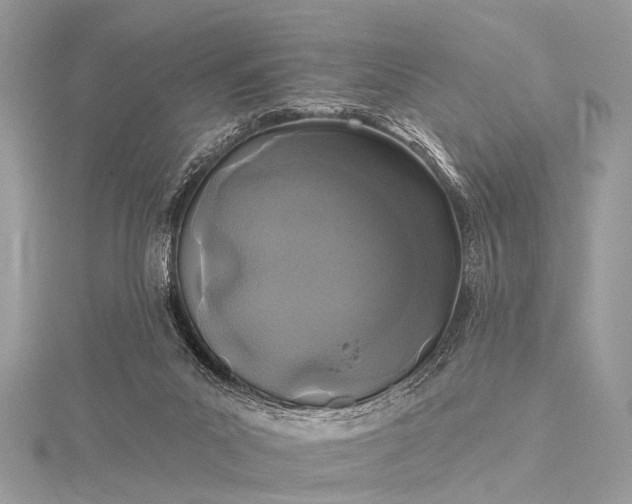 X0000115530023200911201728