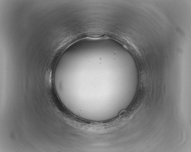 X0000115530024200911201728