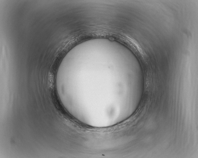 X0000115530025200911201728